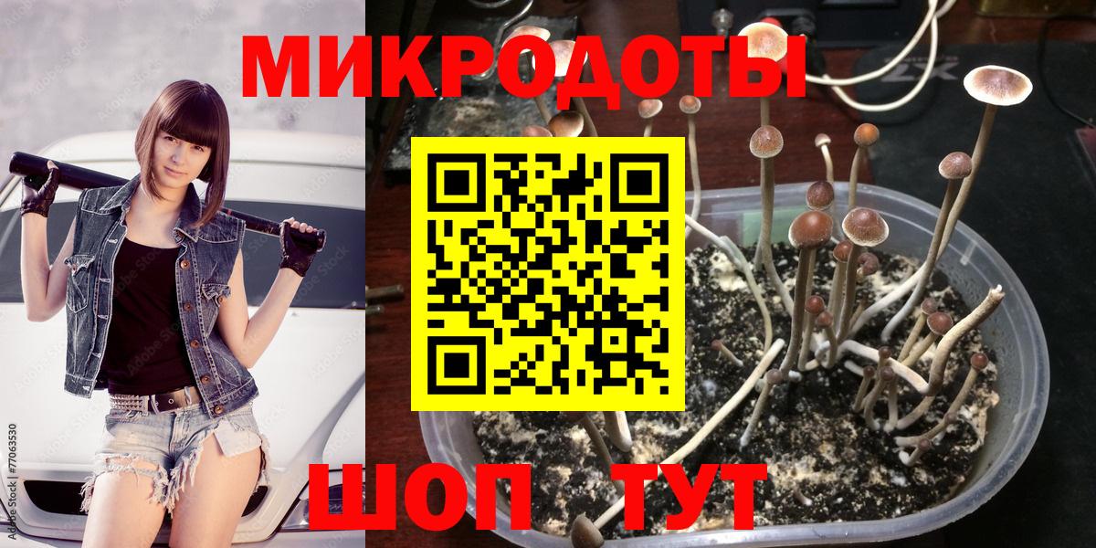 Галлюциногенные грибы Psilocybine cubensis  Вход с VPN  Тихорецк  Псилоцибиновые грибы Magic Shrooms 