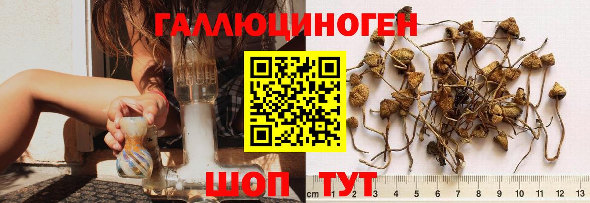 Галлюциногенные грибы мухоморы Тихорецк